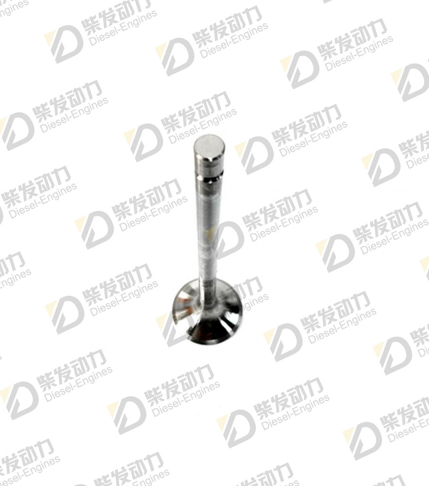 Exhaust valve 1556896 